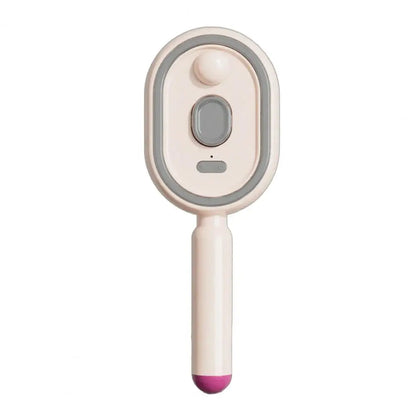 Anti-Frizz Electric Steam Hair Brush