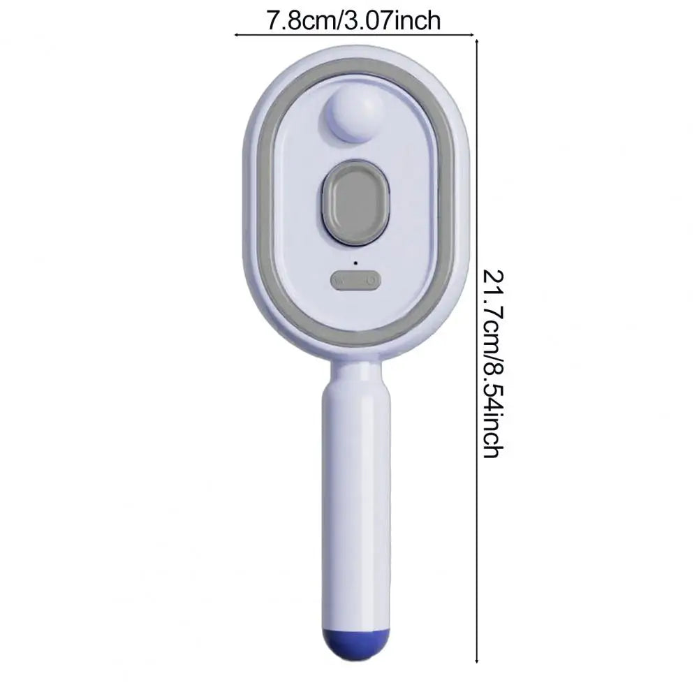 Anti-Frizz Electric Steam Hair Brush