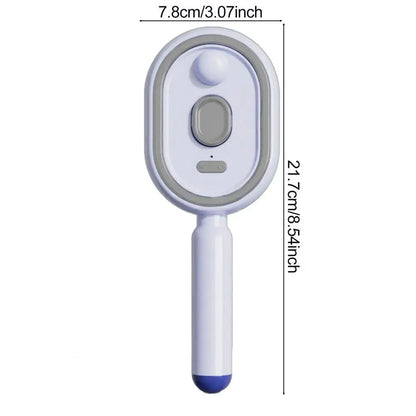 Anti-Frizz Electric Steam Hair Brush