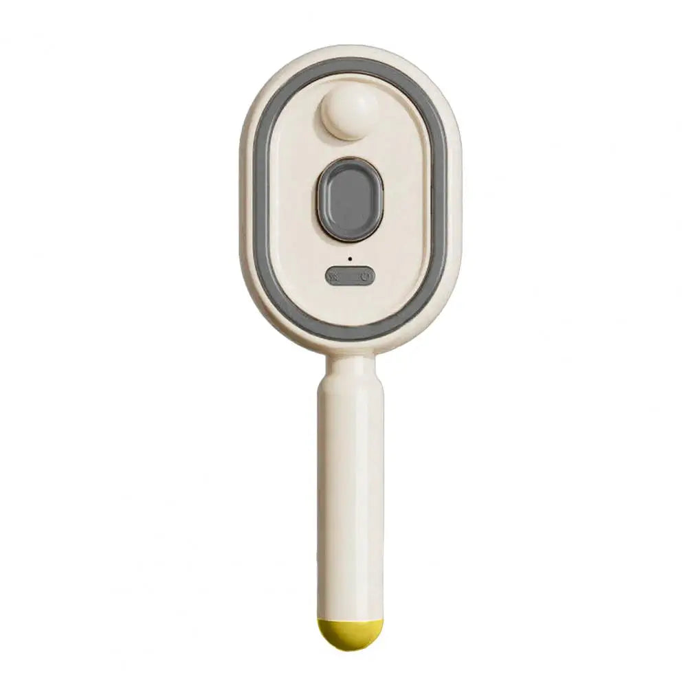 Anti-Frizz Electric Steam Hair Brush