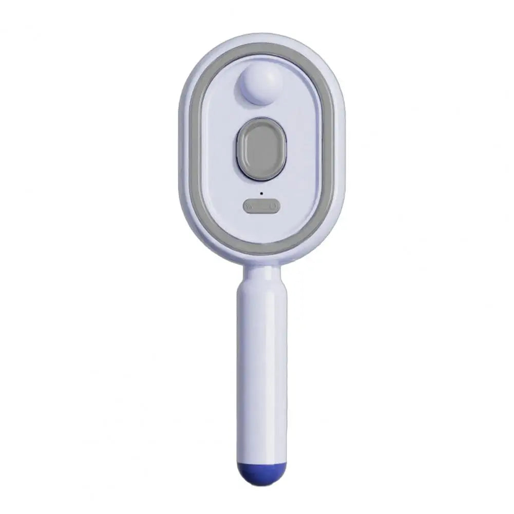 Anti-Frizz Electric Steam Hair Brush