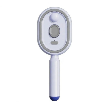 Anti-Frizz Electric Steam Hair Brush